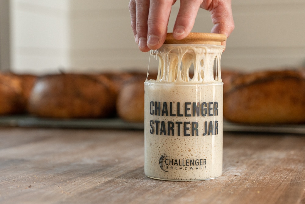 Jim-challenger-Sourdough-Starter