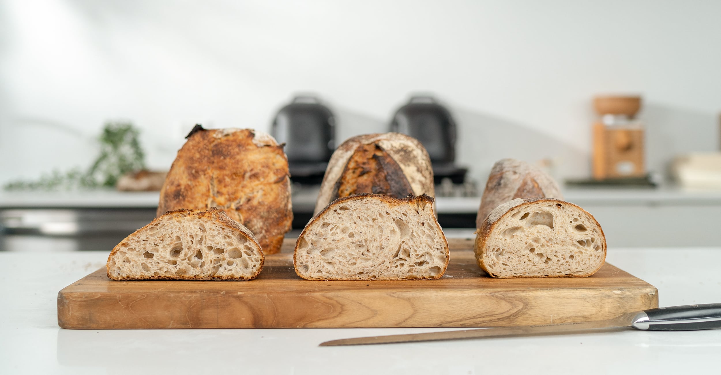 Identifying Proofing Levels in Baked Bread - Challenger Breadware