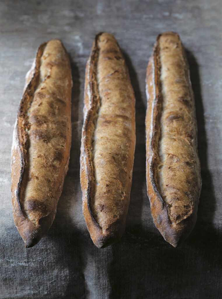 Yeasted Baguettes x