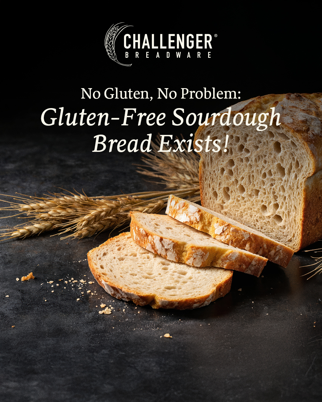 Challenger Soc Feb Newsletter Soc